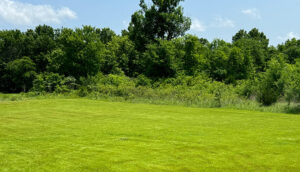 Orinne Creekside park view