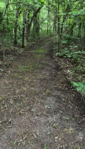 Orinne Creekside Trail