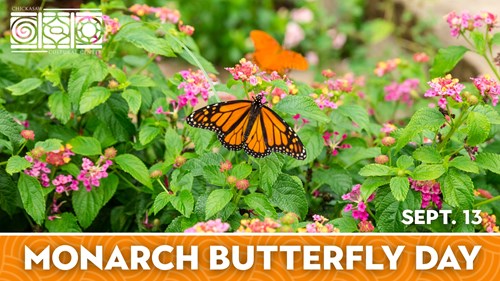Monarch Butterfly Day – Chickasaw Culural Center Sep 13th